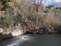 cantara gurne23122011 078